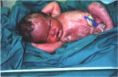 02 april 1999
